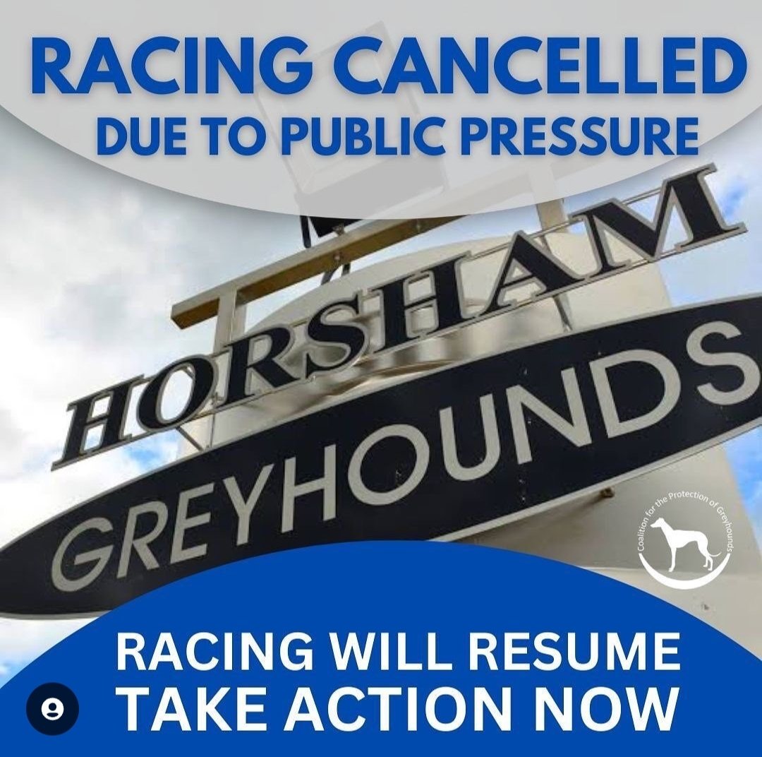 AJP_Victoria's tweet photo. UPDATE
Racing Cancelled due to public pressure!
"Thank you every person who commented, emailed &amp; called the Racing Minister!
The industry knows that we're all watching &amp; we will continue to watch what is occurring at this track &amp; every track across the country."
-@save_greyhounds https://t.co/BDTWC1jpuX