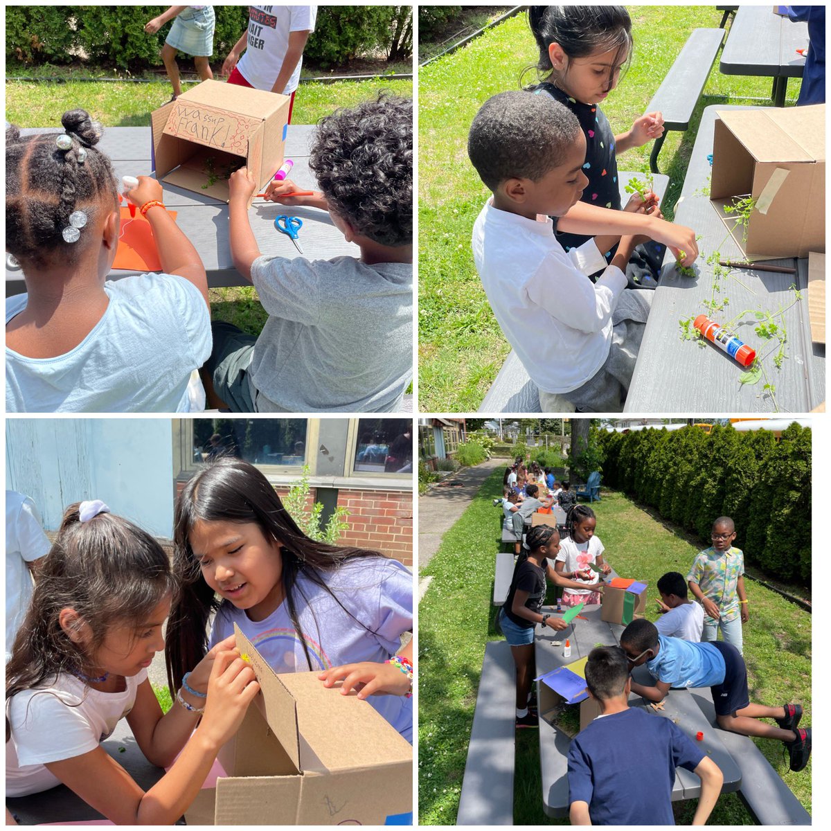 MrsCea1's tweet photo. Today Frank returned to Wheeler Avenue. Each team made a “hide” for Frank! It was wonderful seeing the students work together creatively and have so much fun! 😄 ☀️ 🌳 @WheelerAvenue @VS13UFSD https://t.co/hHEF1B6p0y