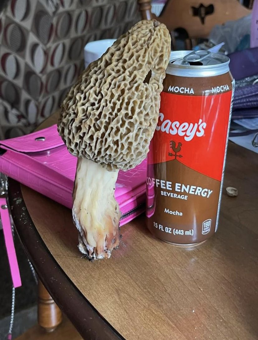 Cherith Brook tweet media