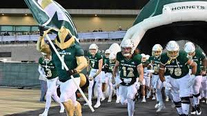 After an Amazing conversation with @CoachCherokee I can say I received my first Division I offer Full Ride scholarship to Sac State!⚪️🟢@PeaceonEarthj @dantemarsh @CoachAThompson @harwellfam @CoachTTMP @jessedstew  #StingersUp #sac