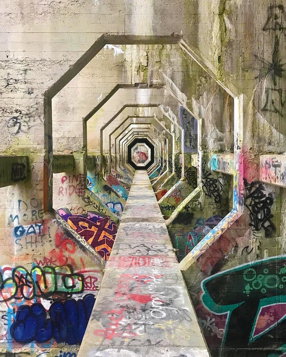 Archillect (@archillect) on Twitter photo 