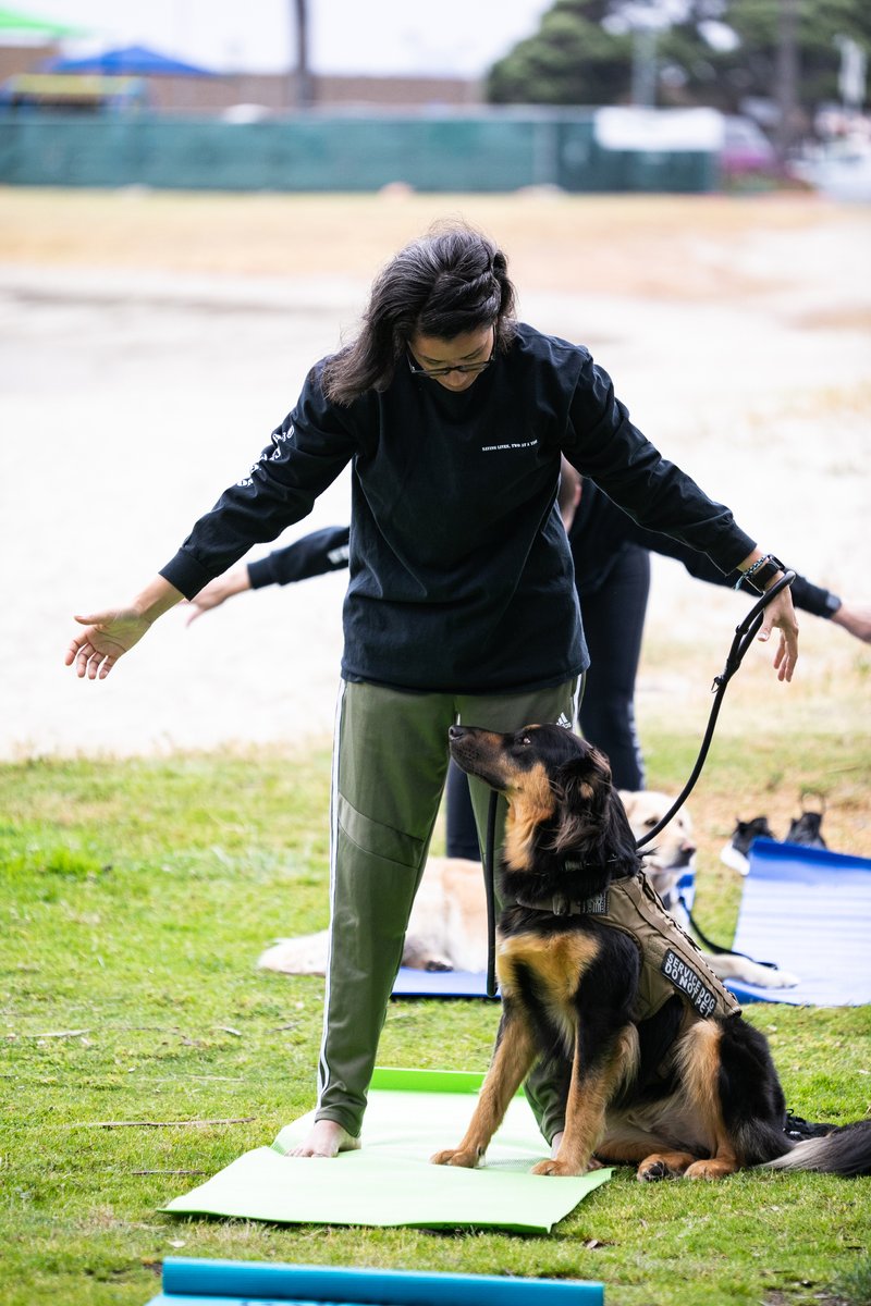 Celebrating with our sister VSOs and WOmans Best Friends at the Sisterhood of Service event! Looking for local classes and events in your area -> veteransyogaproject.org/regions/

#VetLife #TraumaInformedYoga #LAC23 #WomenVeterans #PTSDAwareness #ServiceDogsOfInstagram