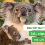 Photo by Greenfleet (@GreenfleetAust)