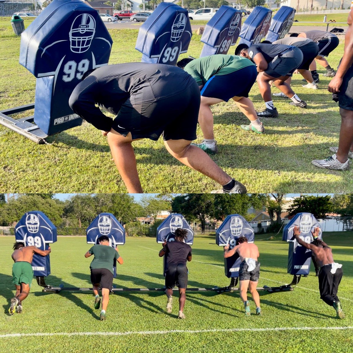 Tampa Catholic Football 🏈⚔️ tweet media