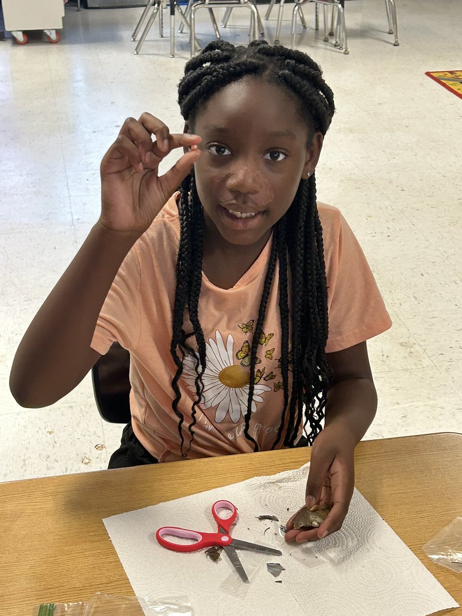 Milan Elementary tweet media