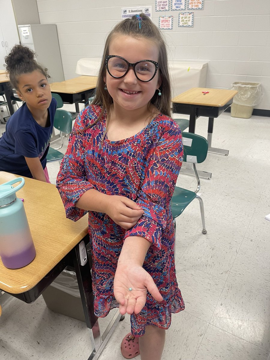 Milan Elementary tweet media