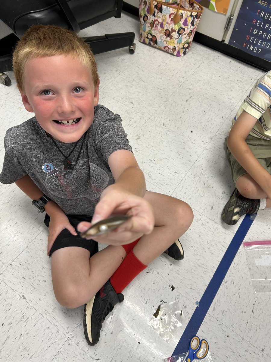 Milan Elementary tweet media