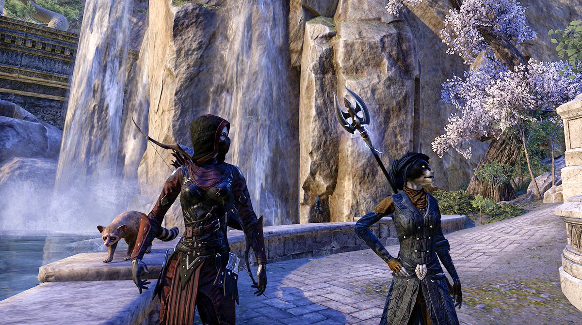 VetustaZ's tweet image. an effective pairing, in a fascinating world #vetustazeta 👩🏾🏴‍☠️ &amp;amp; Ascuas #tamriel #ElderScrollsOnline #TESO #Bethesda #VirtualPhotography #PhotoMode #VGPUnite #XBOX #XboxSeriesX