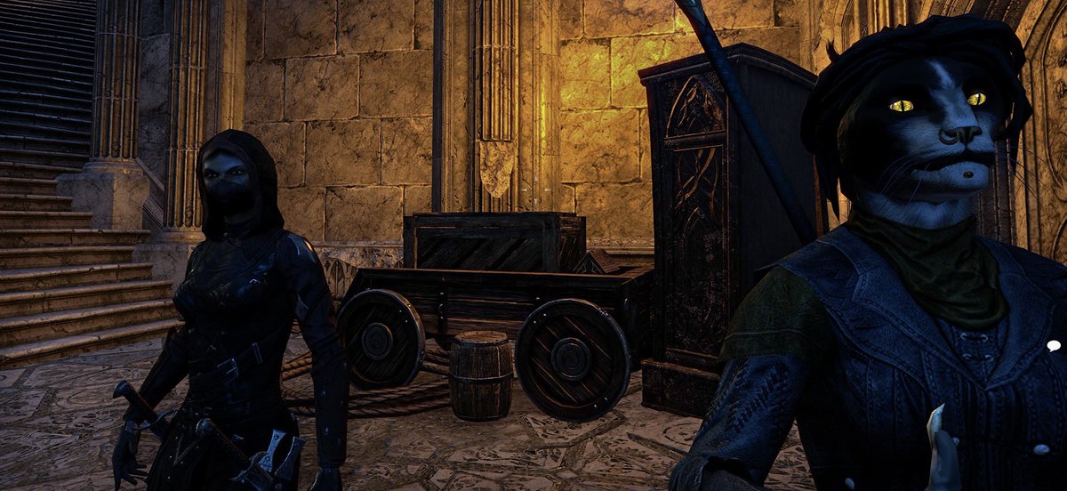 VetustaZ's tweet image. an effective pairing, in a fascinating world #vetustazeta 👩🏾🏴‍☠️ &amp;amp; Ascuas #tamriel #ElderScrollsOnline #TESO #Bethesda #VirtualPhotography #PhotoMode #VGPUnite #XBOX #XboxSeriesX