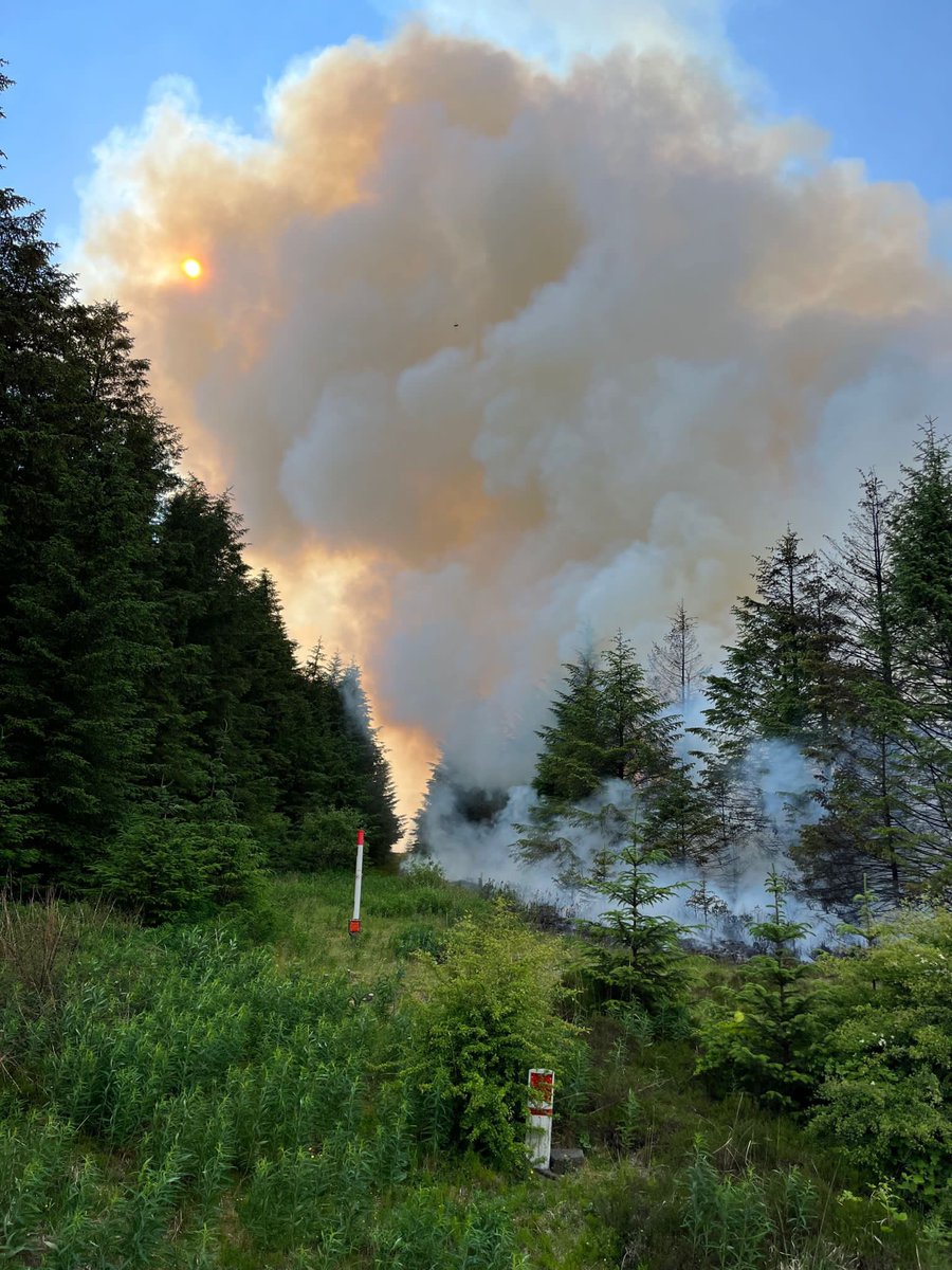 Craig Hope tweet media