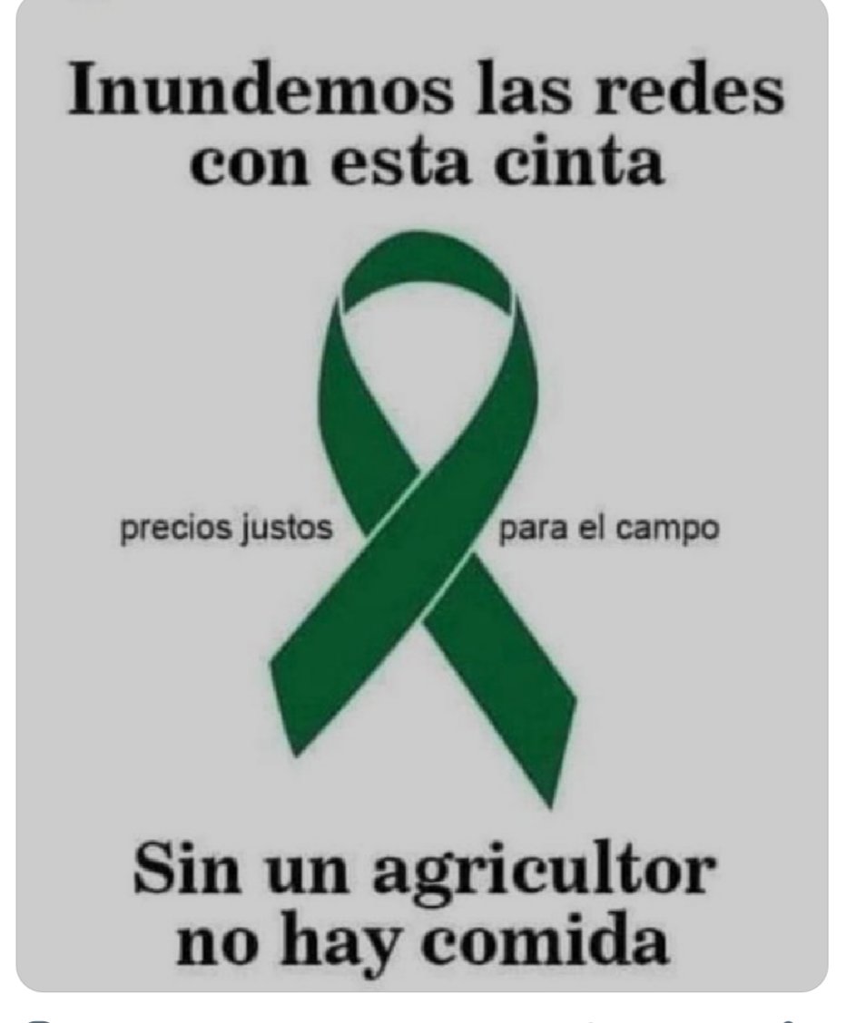 AleB1808's tweet image. Importante 👇