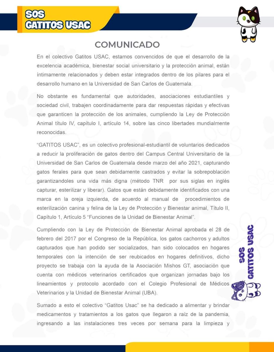 untantoasocial's tweet photo. Un llamado a todos los amantes de los Michis, el colectivo Gatitos USAC necesita de todos nosotros, ya que las "autoridades" desean exterminarlos a pesar que todos están castrados e identificados.
Pueden apoyar en el formulario

https://t.co/8vYsATEtCc https://t.co/OE1P6DAqx2