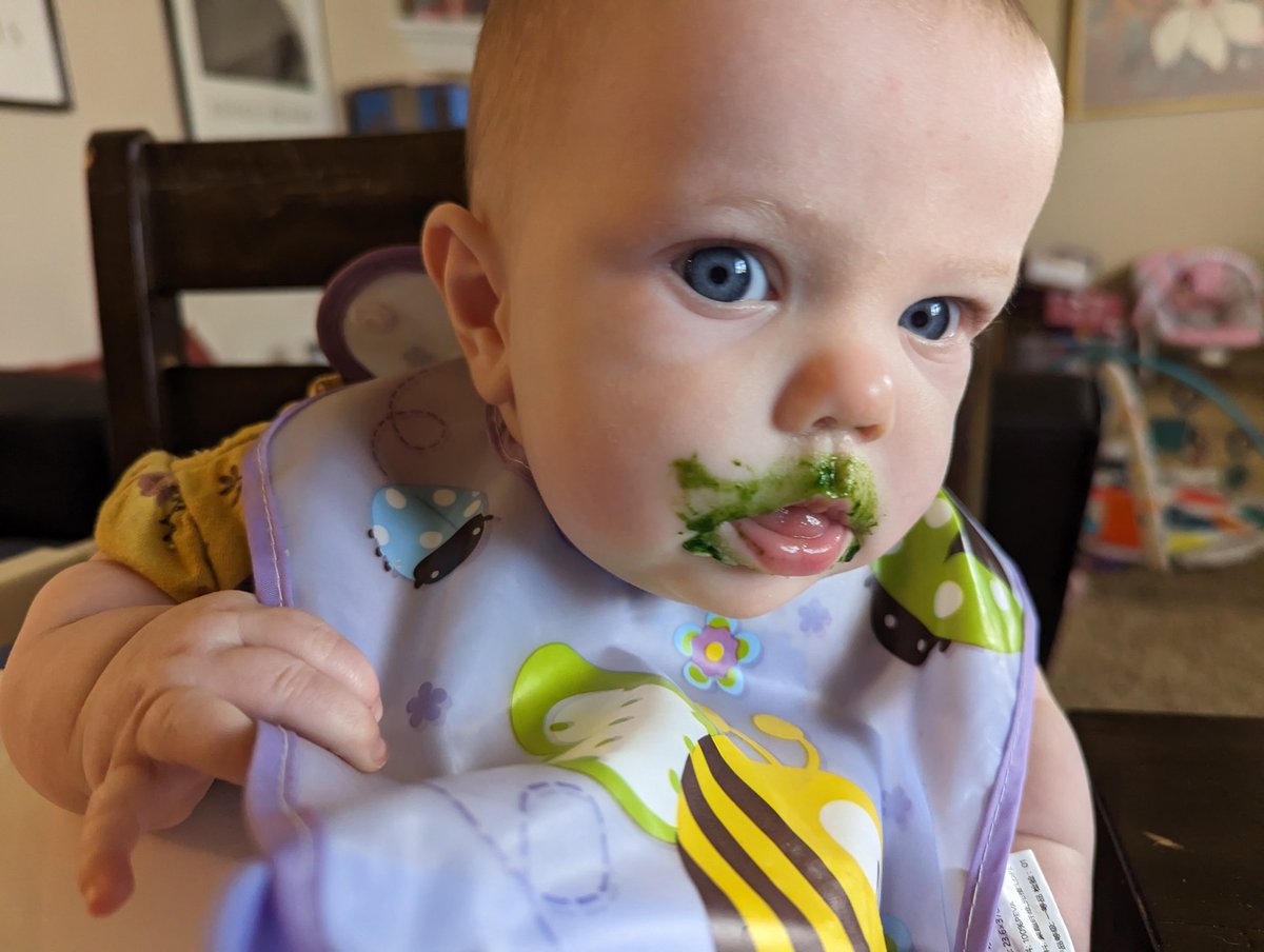 Chaffeelander's tweet photo. With all the pictures featuring a particular orange human, I offer a cleanse with a 6 month old enjoying greens with red pepper flakes for the first time.
#SpiceisLife https://t.co/NDEDwtLzi4