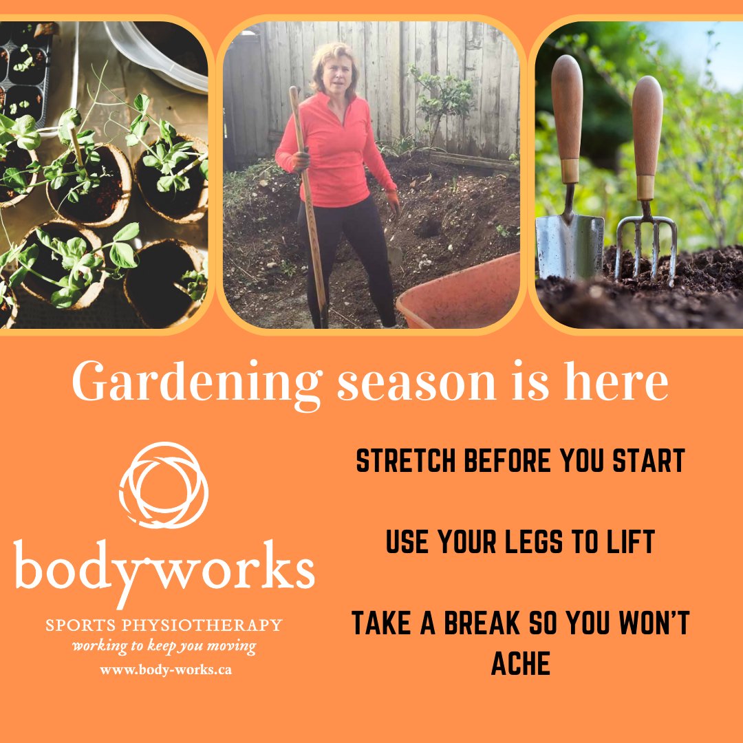 Get ready to dig in! 🌻🌱🍅 Gardening season is here and we want to make sure you enjoy it without any pain or injuries. Visit our website for tips! body-works.ca/?s=gardening #GardeningTips #PreventPain #BackCare #GardenLove #Physiotherapy #northvancouverphysiotherapy #northshore