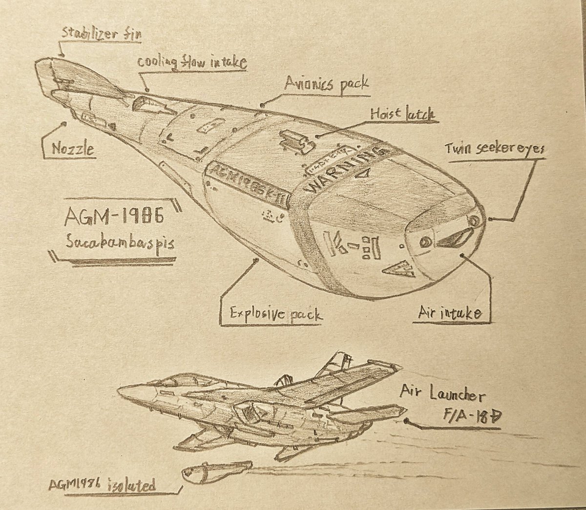 高速空対地巡航ミサイルAGM-1986  爆薬を満載したリフティングボディを対気速度で無理やり浮揚させ一直線に標的へ突進する脳筋ミサイル。見るからに何も考えて無い。  …という設定で珍しくミームに便乗してみた。