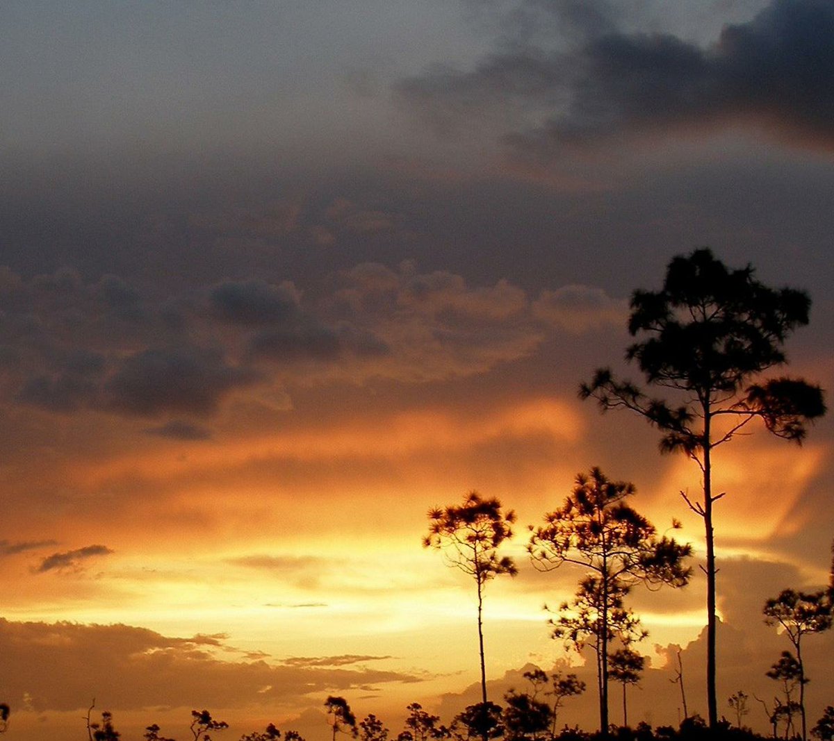 Tranquillity moves forever on 
the calm surface of the heart.