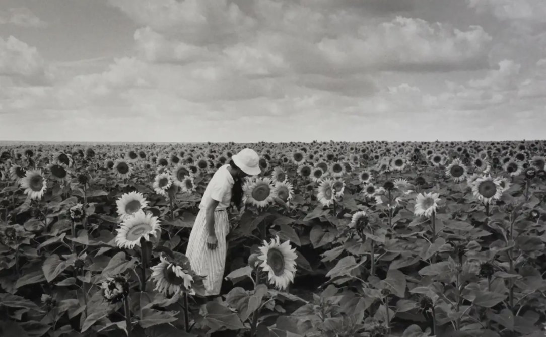 litmusearth's tweet photo. "The wandering photographer sees the same show that everyone else see. He, however, stops to watch it." - Edouard Boubat https://t.co/wXdzJnCg8T