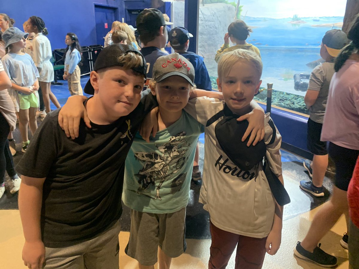 Mrs. Cook tweet media