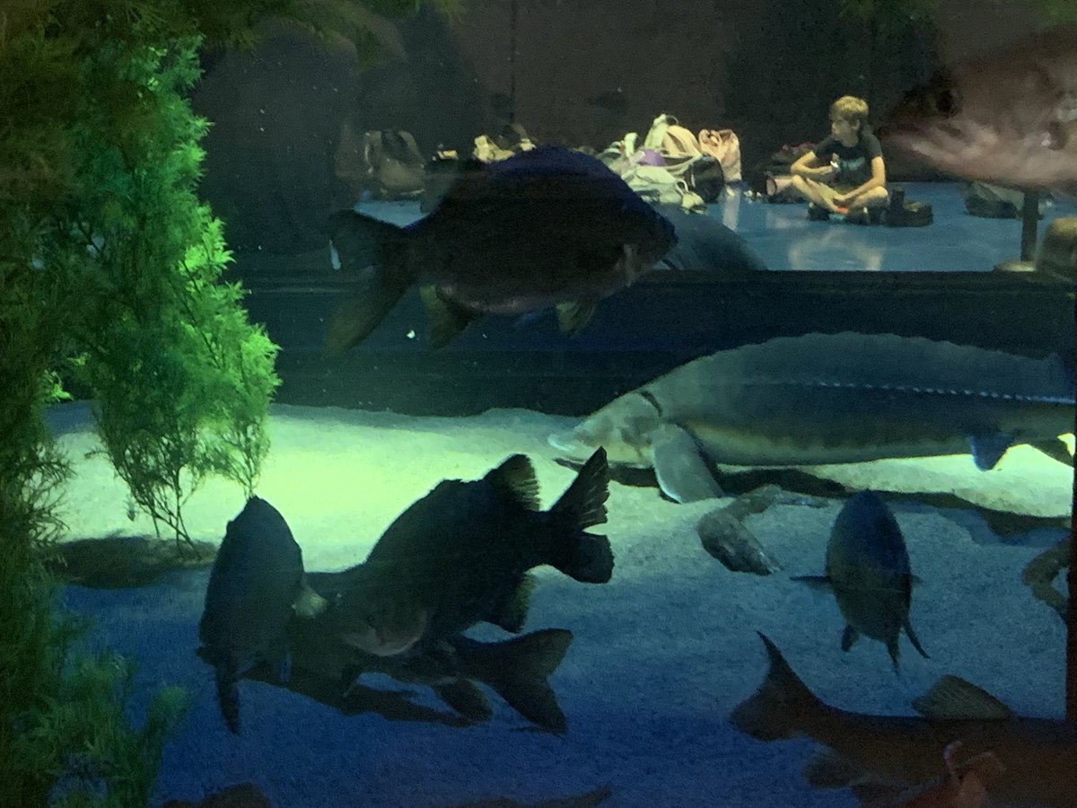 Mrs. Cook tweet media