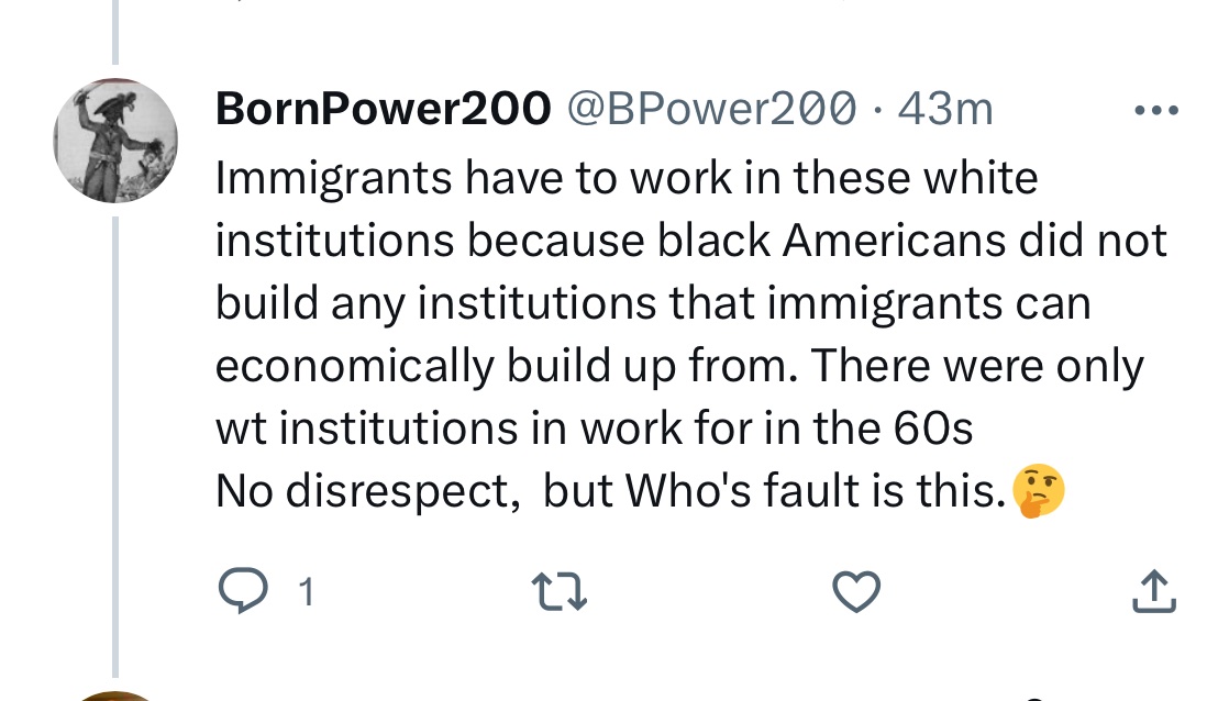 🇭🇹 Haitian immigrant says Native Black Americans built no institutions. 👇🏿