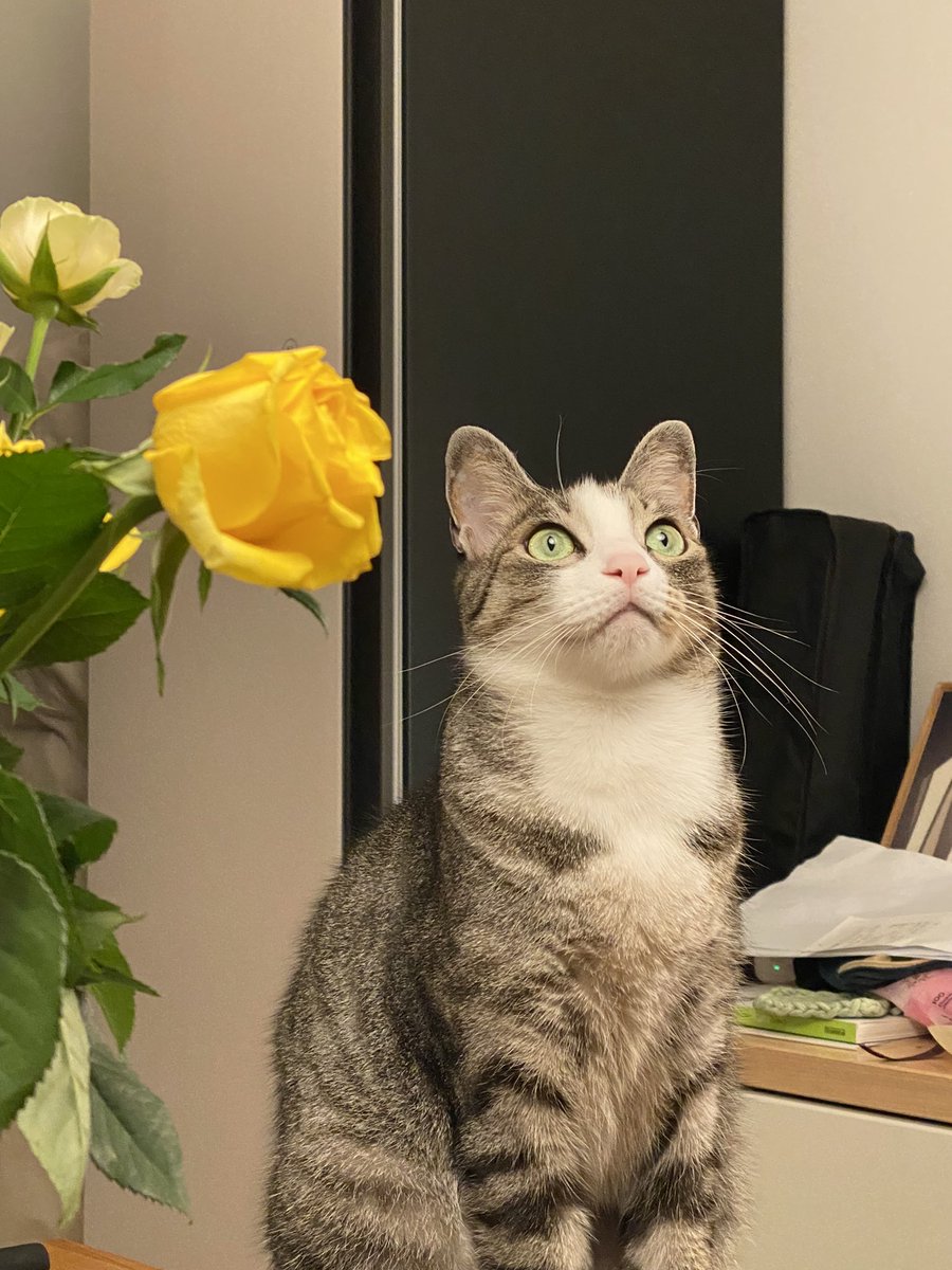 오늘의 라온 (@today_laon) on Twitter photo 