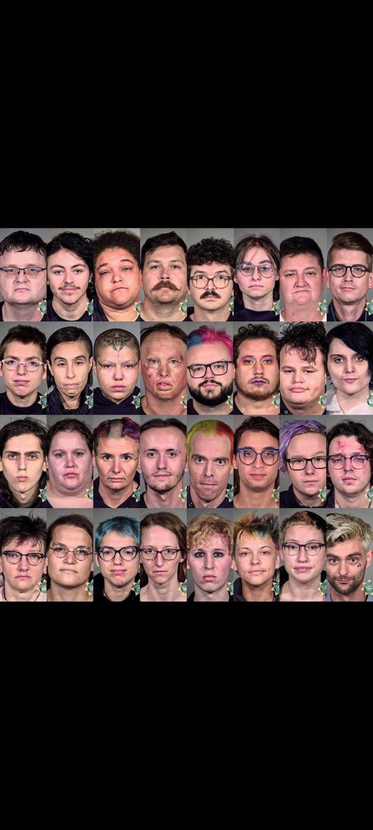Ladies and Germs Antifa the real domestic terrorists.
