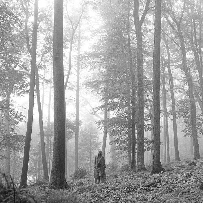 tr4gicmanic's tweet photo. top 5 do folklore

1 - my tears ricochet 
2 - the 1
3 - cardigan
4 - seven 
5 - this is me trying 

coloca um “.” e eu te dou um álbum https://t.co/qmY0i9xUgQ