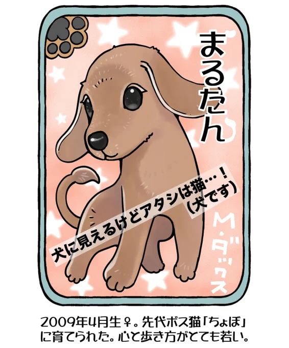 #今日の山野絵
#山野家登場犬猫紹介カード
固定ツイ用に今日から毎日(たぶん…)更新します。
1日目は最年長の「まるたん」現在14才。
人間と猫が大好き。
特に仲良しなのは小麦小梅海きゅんねねこちゃん。

明日は小麦氏です🐈 