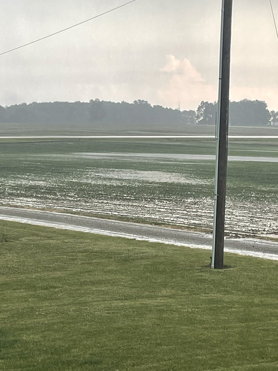 Scott Jay tweet media