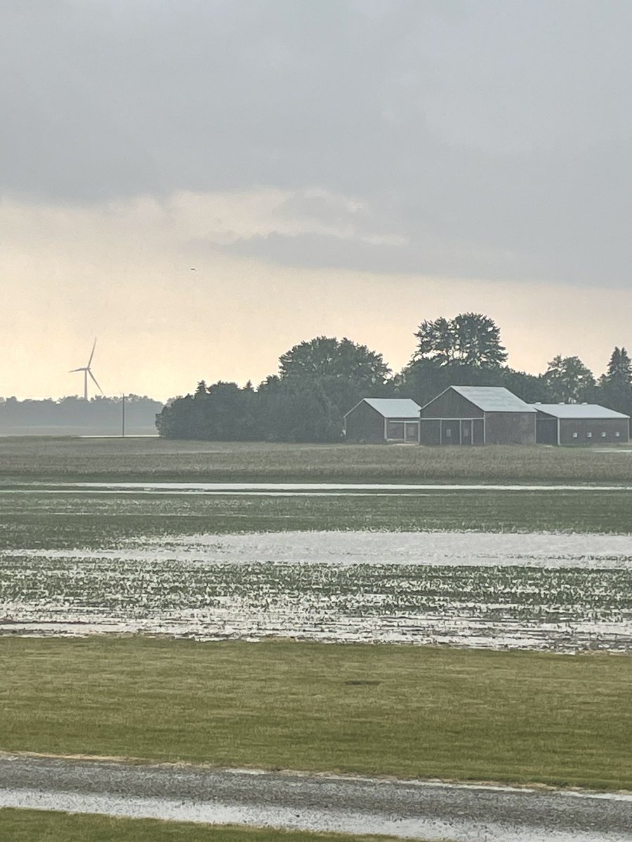 Scott Jay tweet media