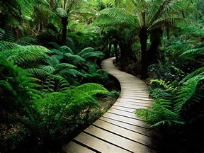 RVCampSupply's tweet photo. Very Calming#beauty #foryou #k #picoftheday #naturephotography #reels #edit #explorer #life #bhfyp #cute #landscape #style #aesthetic #model #funny #comment #india #photo #f #hiking #outdoors #mountains #repost #s #youtube #hiphop #followme #rap #l https://t.co/1TmzFcDpVH