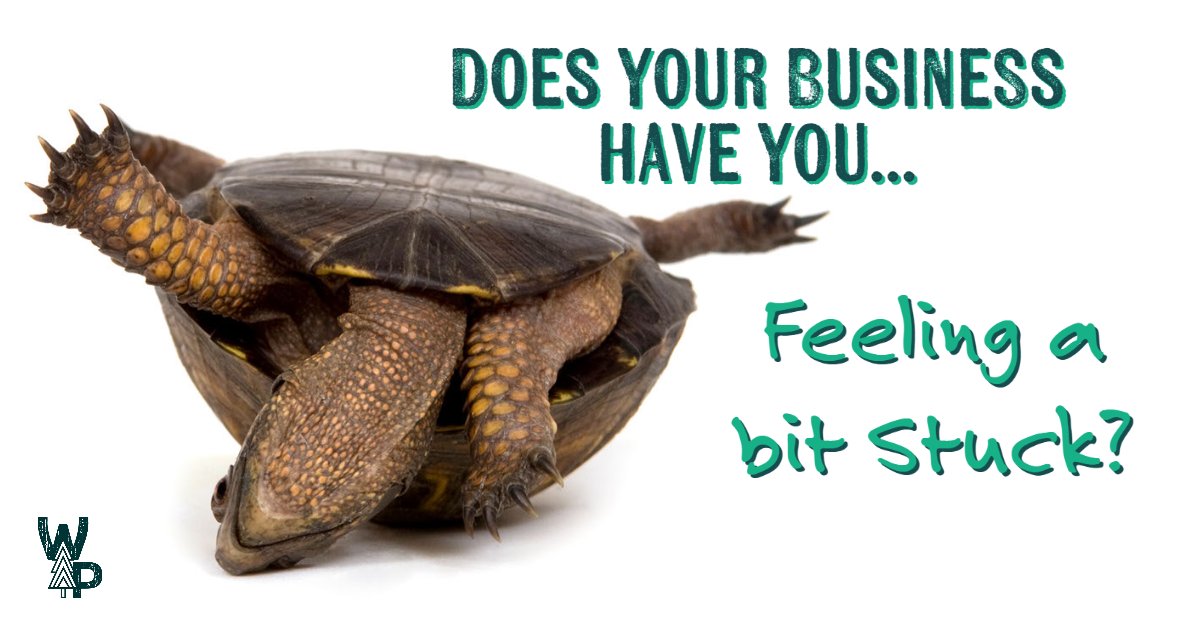 wpbsolutions_'s tweet image. Looking for a way to get your business working for YOU to regain your time and sanity?

Are you interested in driving growth in revenue and minimizing costs at the same time?

We can help!

Visit wpbsolutions.com to find out  how!