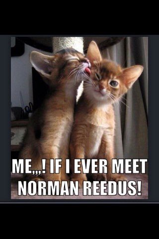 𝕱𝖊𝖗𝖓𝖆𝖓𝖉𝖆 tweet media