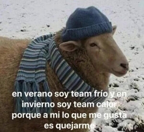 JuguitoVerao's tweet photo. soy https://t.co/IJ6ADGIJy3