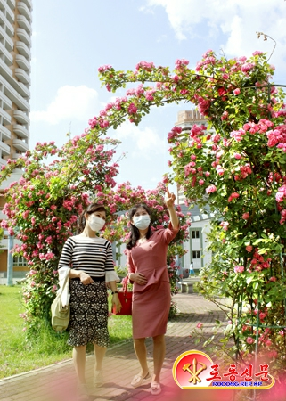 [🇵🇱] Pyongyang, miasto pełne kwiatów 🇰🇵🌹🌺🌼