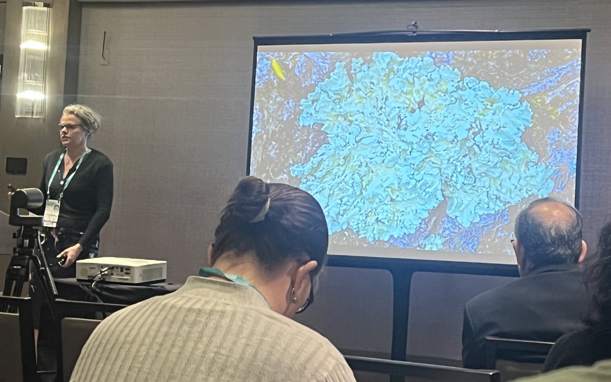 heterocat's tweet image. What a dream to present alongside my former/forever mentors @MooresResearch and Bala Subramaniam @KUcebc 

@ACSGCI really brings people together #GCEC2023