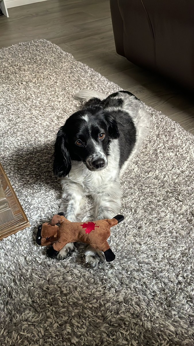 The Joker tweet media