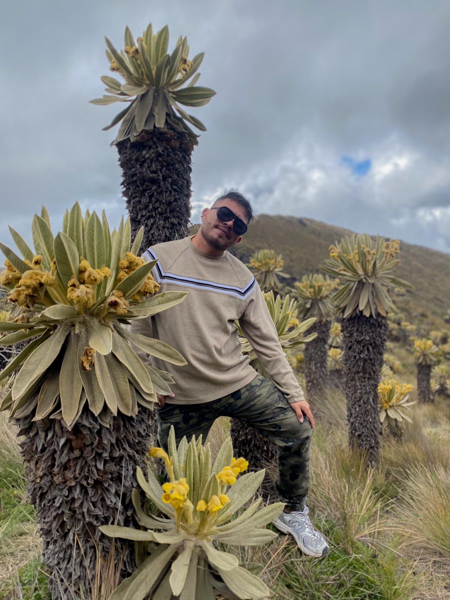 chiconiggga's tweet photo. Quiero una vida viajando 🖤🏔️🏔️ https://t.co/SanJUpSNCv