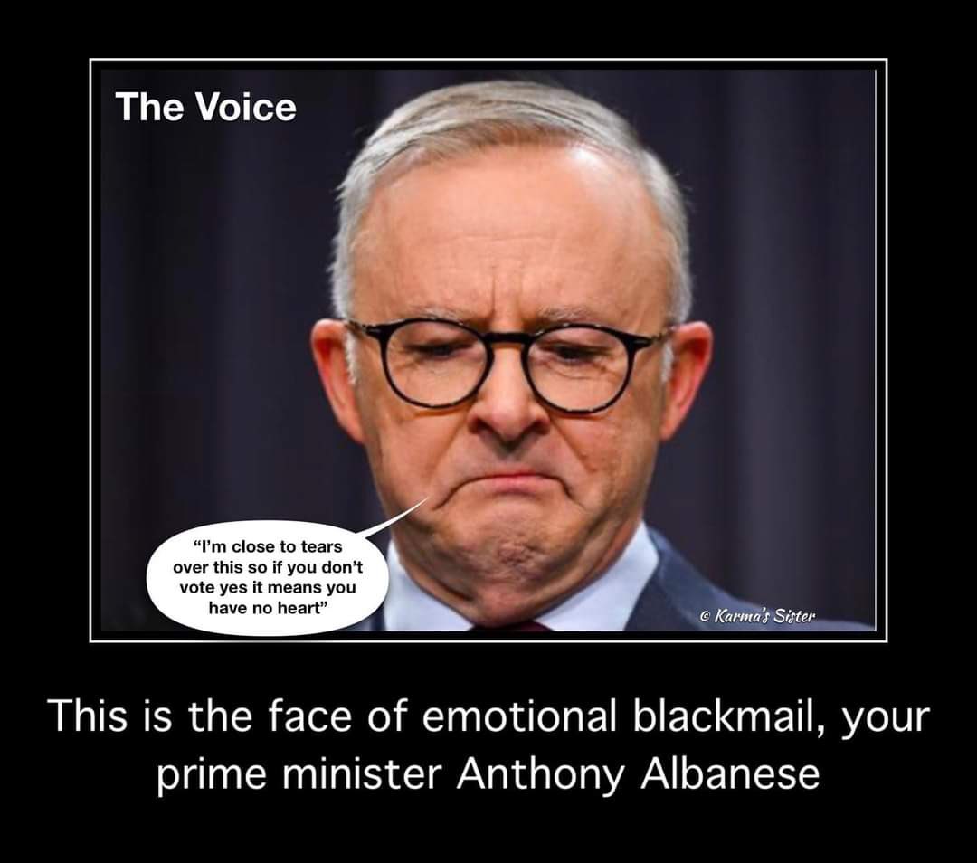 @nogulagsagain The Aboriginal elite are after a treaty, and then a percentage of GDP, rates, land tax, water rights, and royalties. On top of the $40billion a year we already give that is unaccounted for.The younger generations should understand that they will pay for it. Vote NO
#VoteNo