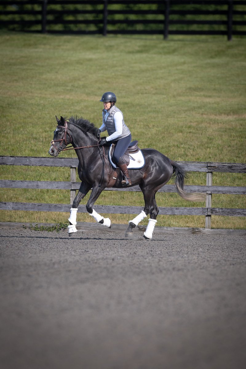JenRoytz's tweet photo. A little cross training never hurt anyone. ๐
Believe it or not, this is a racehorse heading back to the track next week.
Zelick, I sure do ๐ you!
(By @WinStarFarm's Commissioner)
๐ท- @EquiSportPhoto
#brownsteadbred #kybred #racehorse https://t.co/4neFXk73Kk