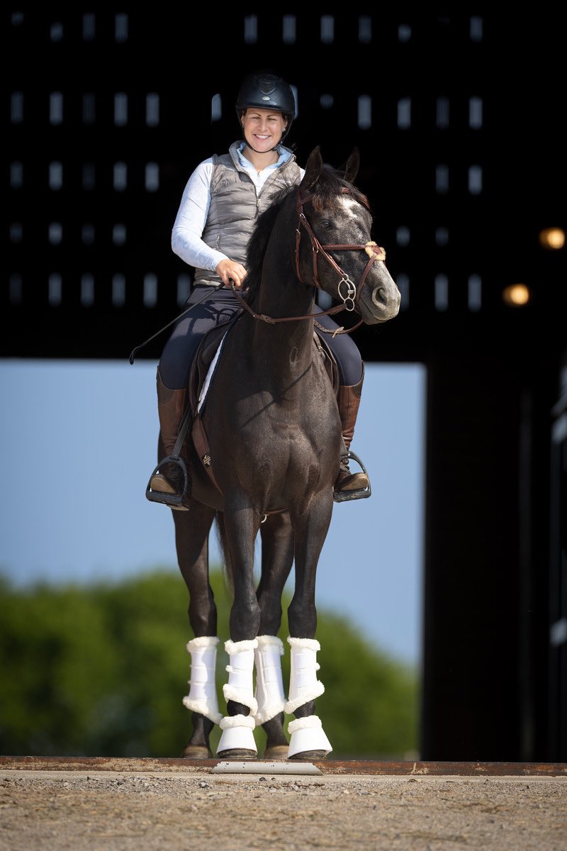 JenRoytz's tweet photo. A little cross training never hurt anyone. ๐
Believe it or not, this is a racehorse heading back to the track next week.
Zelick, I sure do ๐ you!
(By @WinStarFarm's Commissioner)
๐ท- @EquiSportPhoto
#brownsteadbred #kybred #racehorse https://t.co/4neFXk73Kk