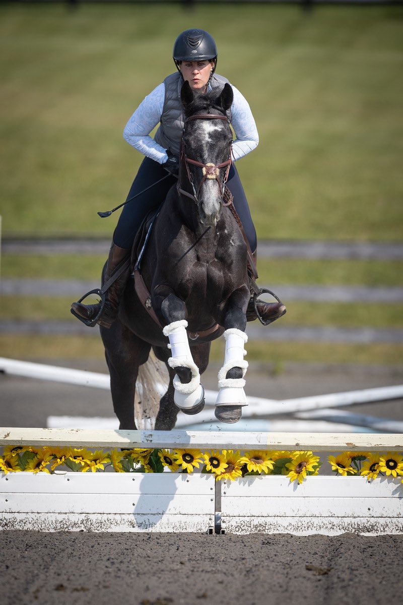 JenRoytz's tweet photo. A little cross training never hurt anyone. ๐
Believe it or not, this is a racehorse heading back to the track next week.
Zelick, I sure do ๐ you!
(By @WinStarFarm's Commissioner)
๐ท- @EquiSportPhoto
#brownsteadbred #kybred #racehorse https://t.co/4neFXk73Kk
