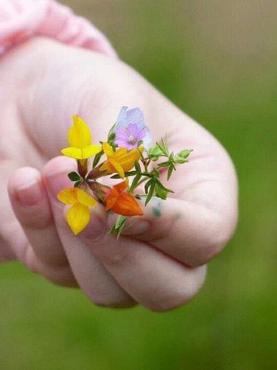 abdulhalim38902's tweet photo. مینه وویشی ژوند په مینه اوخنداتیر کی داغټه سرمایه ده https://t.co/nq6goOwwON