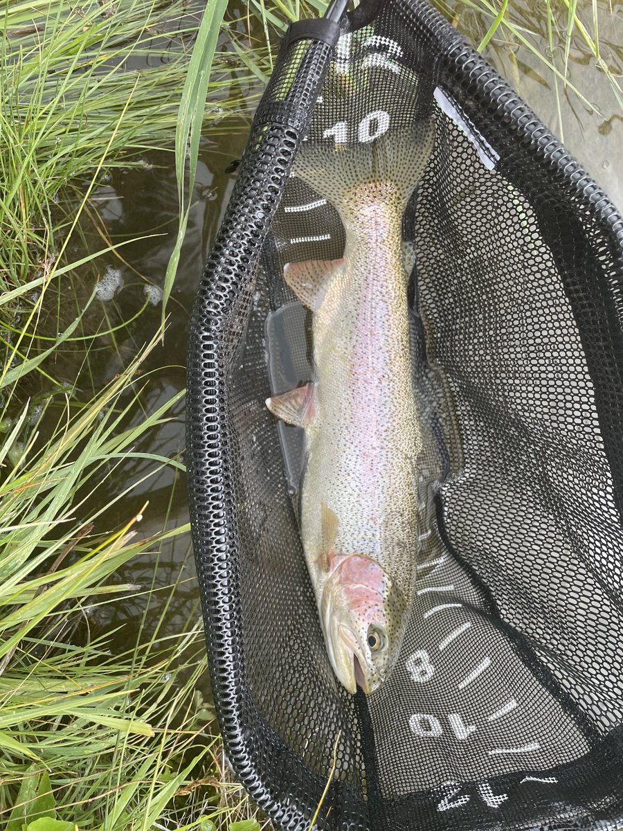 Keith Ridler tweet media