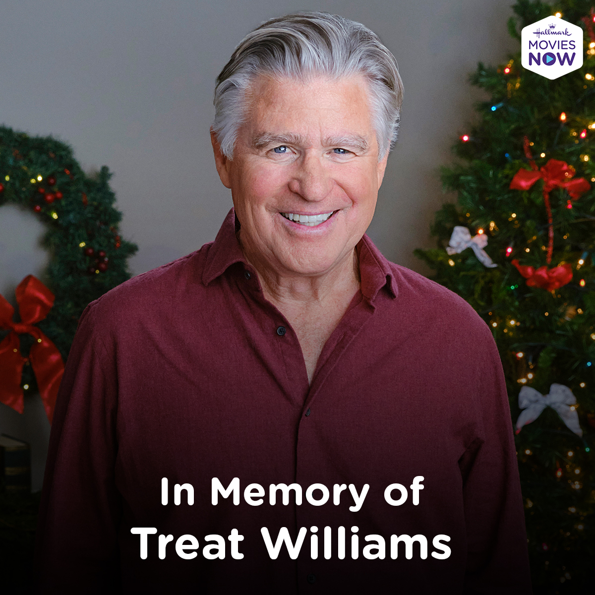 In memory of the incredible talent and life of @RTreatWilliams watch #ChesapeakeShores, #TheChristmasHouse, #TheChristmasHouse: Deck Those Halls, #HallmarkHallofFame’s #BeyondtheBlackboard & #FrontoftheClass all on #HallmarkMoviesNow.