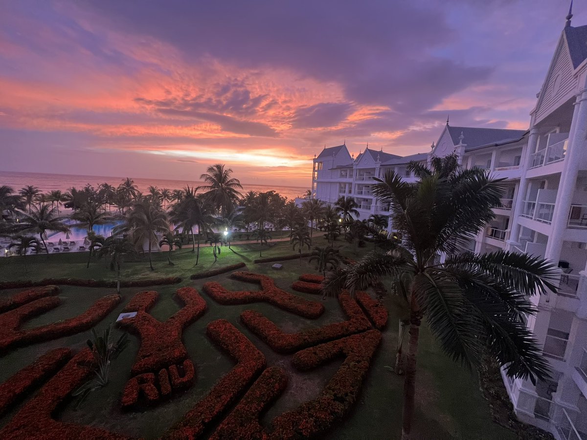 Ing Reynolds tweet media