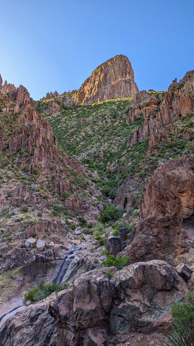 Anyone who thinks the desert isn't gorgeous needs to spend a day with me .
#Hiking #HikeAZ #Arizona #desert