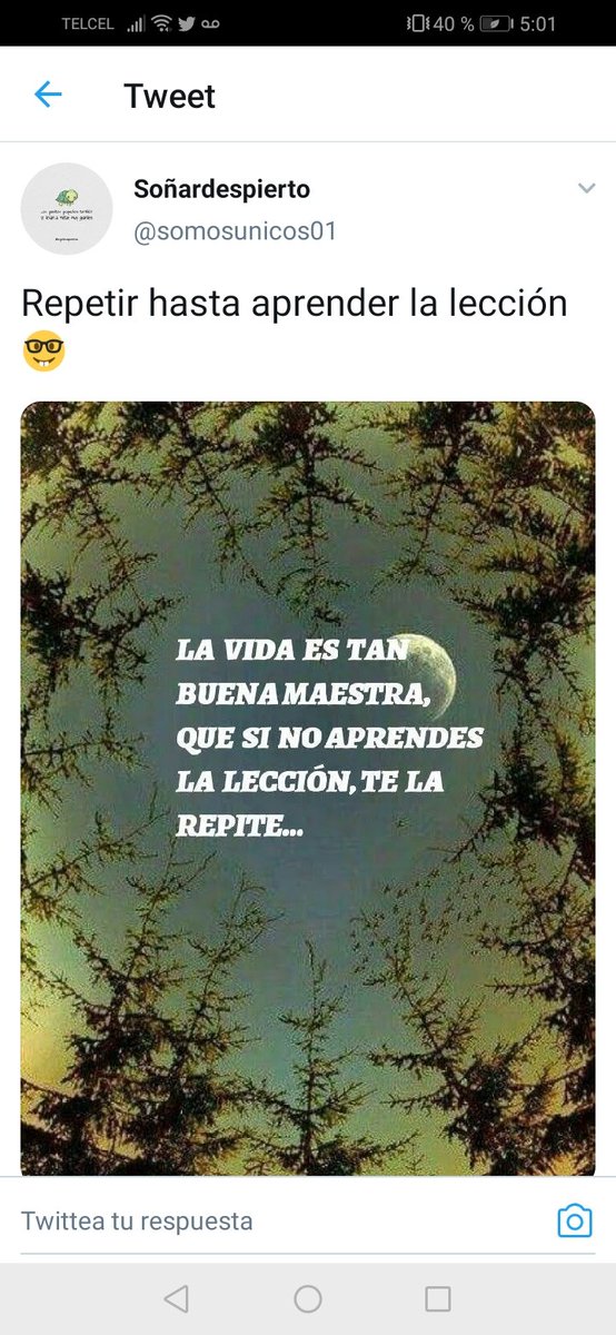 Araceli Álvarez (@araceli_alexand) on Twitter photo 