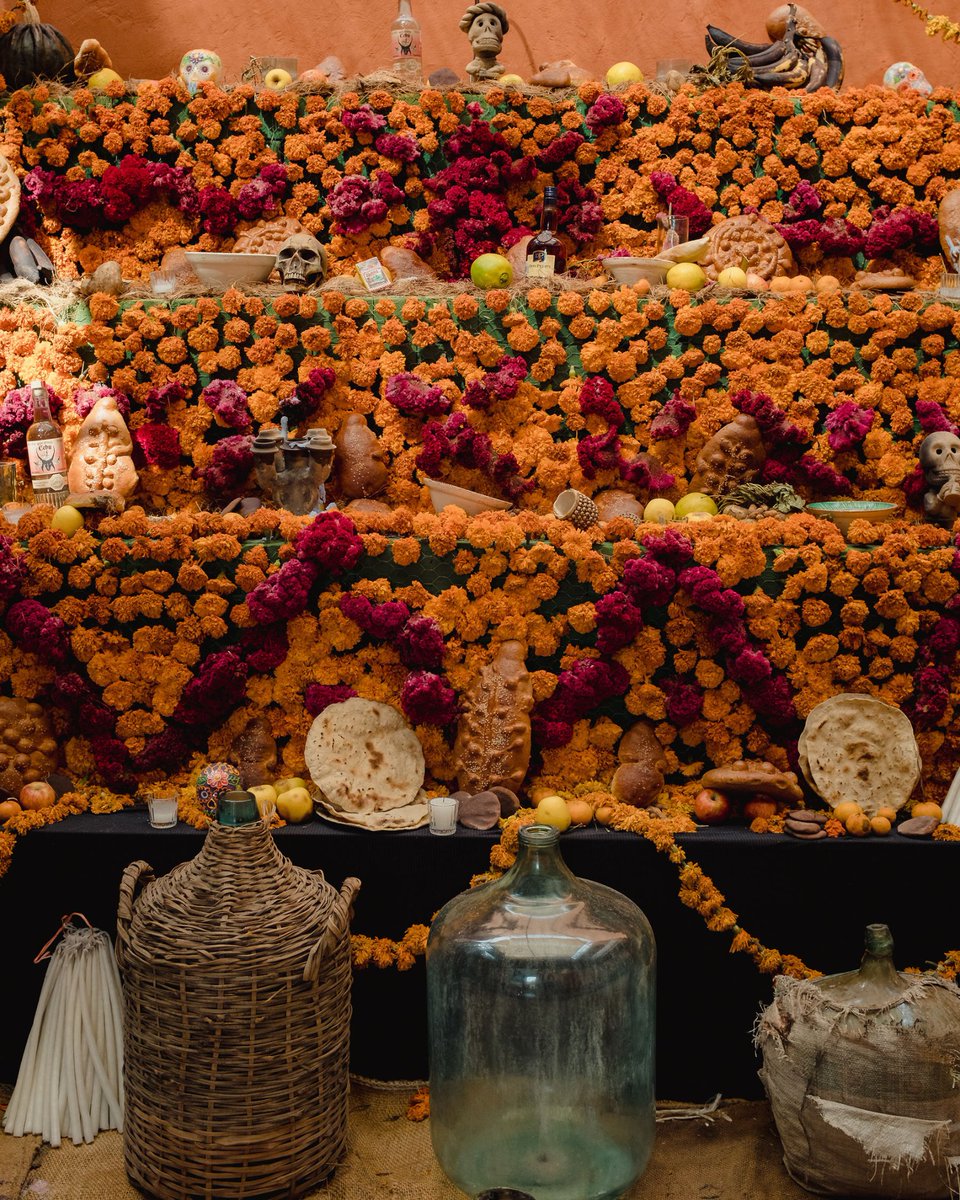 MODERN ADVENTURE tweet media