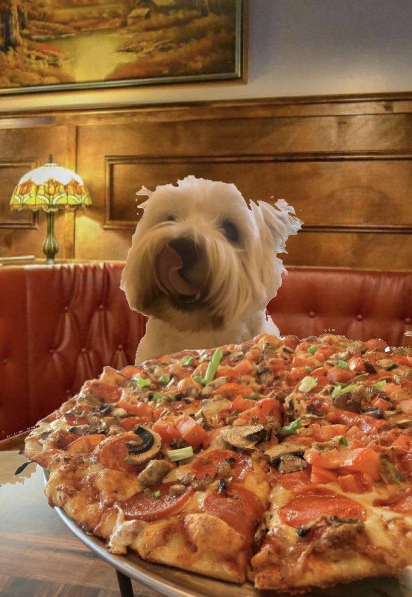 @TheHugHouse @SteveStuffie @PicklesBottom Dis pizza iz lishush. Fank yoo #furrytails